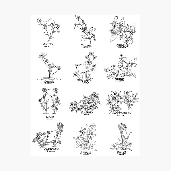 Item preview, Floral Constellation - Ensemble designed and sold by zoazig.