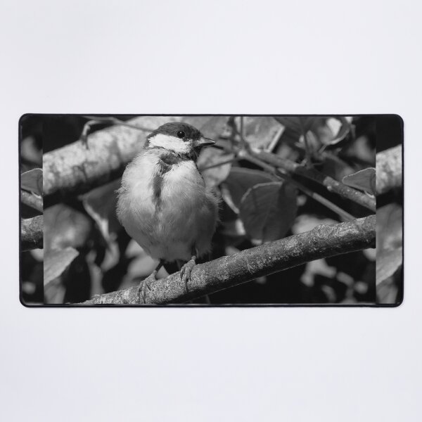 Item preview, r1352/  new finition 2021  Birds  04 a (n-b)(t) by Olao-Olavia / Okaio Créations  designed and sold by o.okaïo.