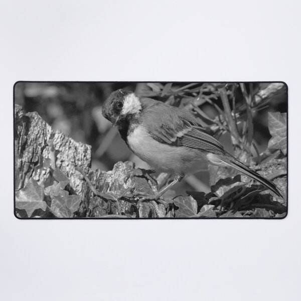 Item preview, r1355/  new finition 2021  Birds  05 n-b (c)(t) by Olao-Olavia / Okaio Créations  designed and sold by o.okaïo.