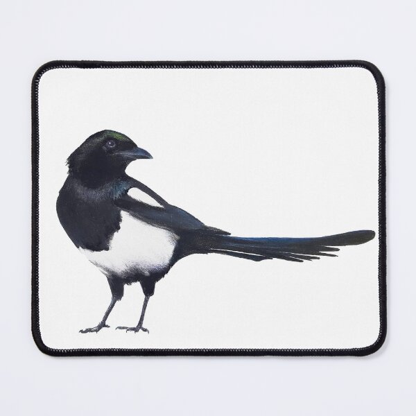 Black-billed magpie - charcoal drawing Mouse Pad