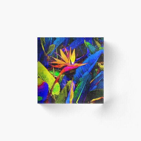 Colorful Bird of Paradise Flower and Leaves Acrylic Block