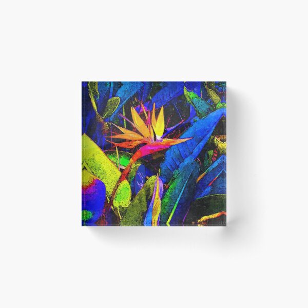 Item preview, Colorful Bird of Paradise Flower and Leaves designed and sold by Anna Lemos.