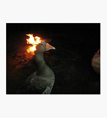 Fire Duck (goose on fire) Photographic Print