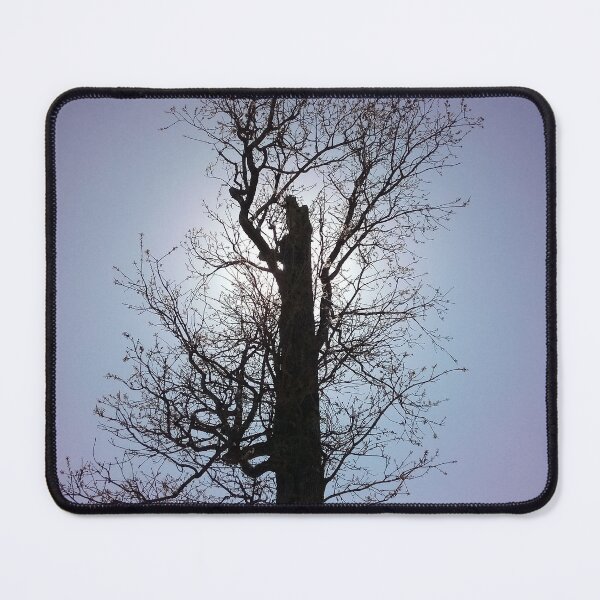Item preview, Winter Tree designed and sold by Dodie the Llama Designs.