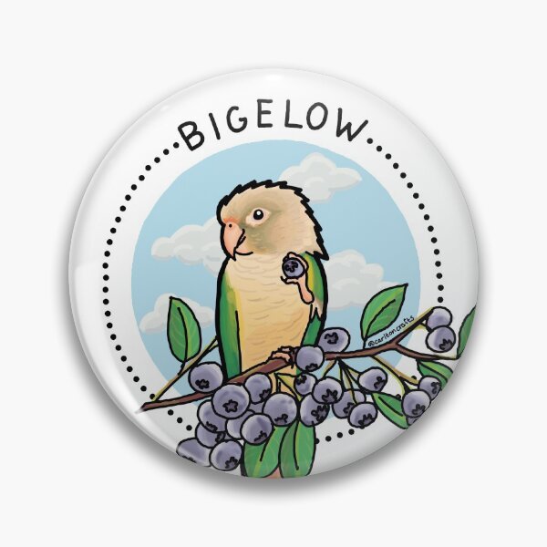 Item preview, Bigelow the conure designed and sold by CarltonCrafts.