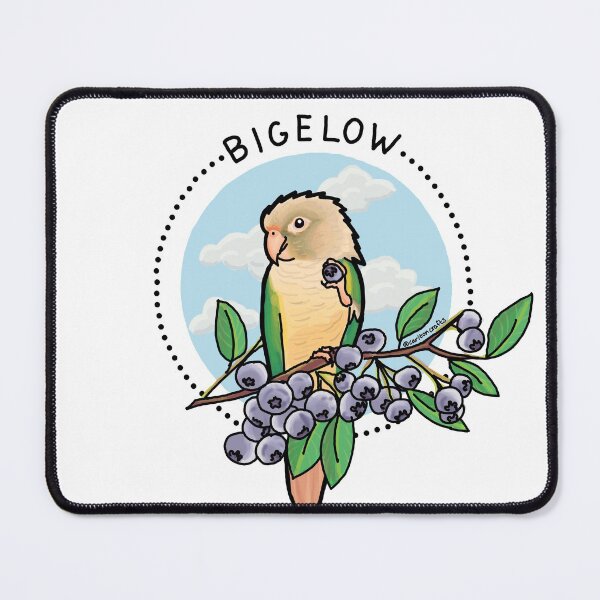 Item preview, Bigelow the conure designed and sold by CarltonCrafts.