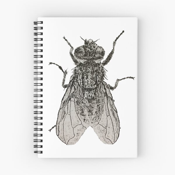 Item preview, Dotwork Fly Art Print designed and sold by DrawWithSacha.