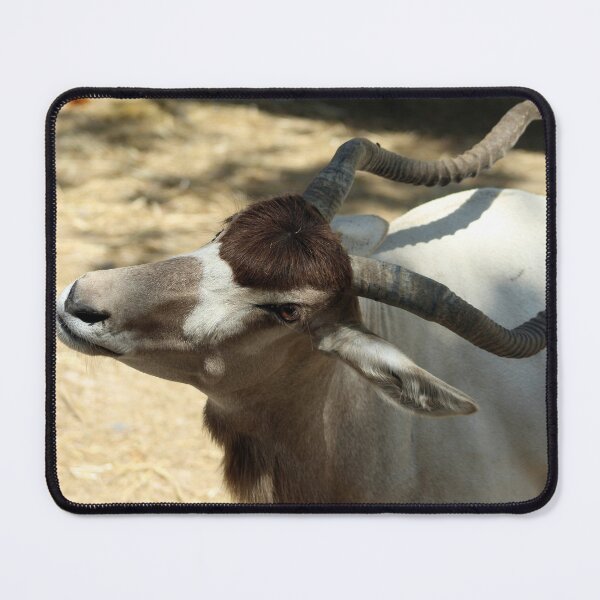 Item preview, Addax, Sahara Desert Antelope designed and sold by Anna Lemos.