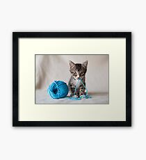 Rocket and the yarn Framed Print