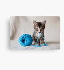 Rocket and the yarn Canvas Print