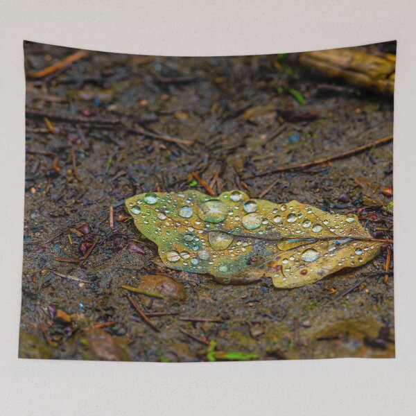 Artikelvorschau, Regentropfen auf einem Blatt entworfen und verkauft von Dalyndigital Photography.