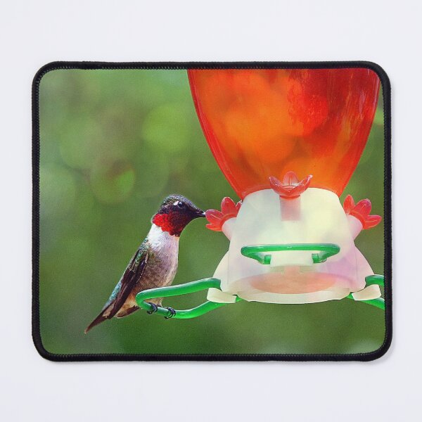 Item preview, Ruby Throated Hummingbird designed and sold by Frankie Cat Photography.