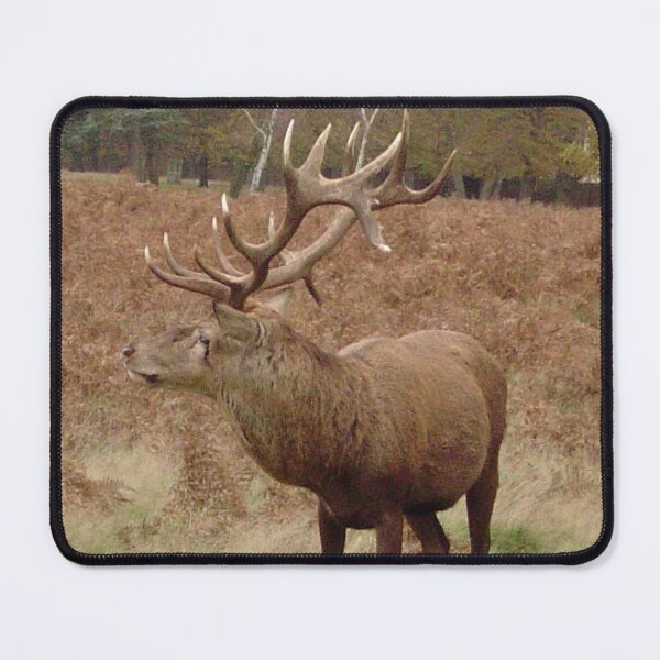 Item preview, A mighty stag in Bushy Park, Richmond upon Thames designed and sold by ellenhenry.