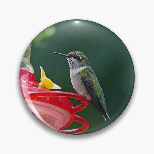 Item preview, Perched Hummingbird designed and sold by Frankie Cat Photography.
