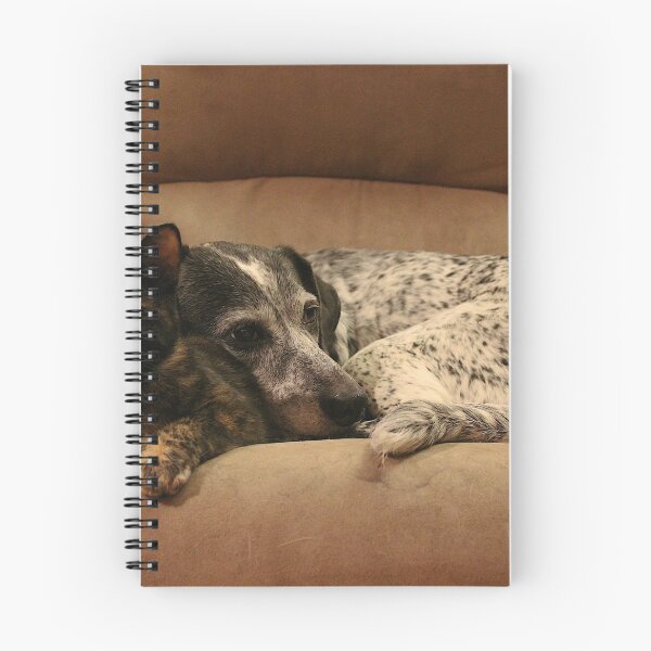 Item preview, Sisterly Love designed and sold by Melissa Glabay.