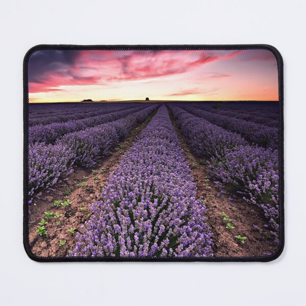 Item preview, Field Of Dreams Sunset Purple Lavender Flowers Landscape Art designed and sold by Piper-Deals.