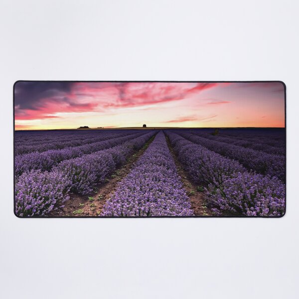 Aperçu de l'œuvre Field Of Dreams Sunset Purple Lavande Fleurs Paysage Art créée et vendue par Piper-Deals.