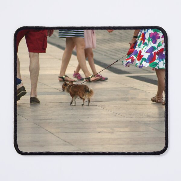 Item preview, Strolling about the city with dog designed and sold by Anna Lemos.