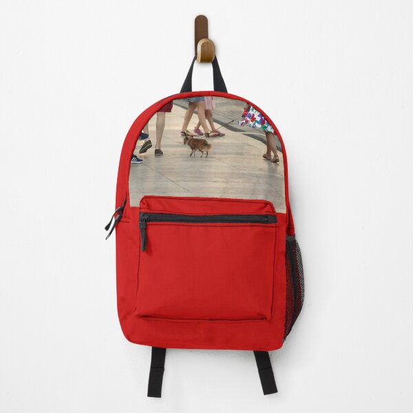 Item preview, Strolling about the city with dog designed and sold by Anna Lemos.