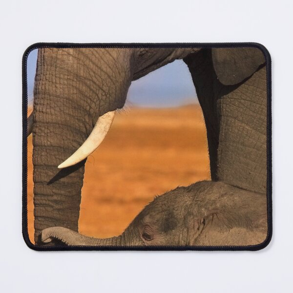 Item preview, Elephant Mother and Calf Amboseli NP Safari Kenya. Africa. designed and sold by PhotosEcosse.