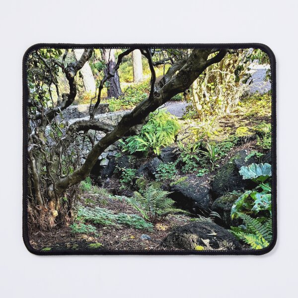 Item preview, Light Play on a Moss and Fern Laden Creek designed and sold by EloiseArt.