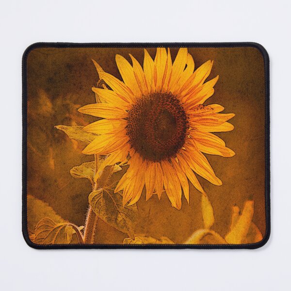 Item preview, Textured Sunflower, Botswana, Africa. designed and sold by PhotosEcosse.