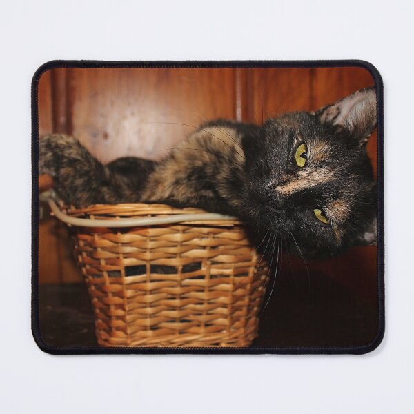 Item preview, Willow designed and sold by Melissa Glabay.