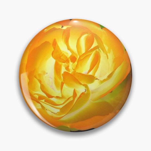 Item preview, Glowing golden rose blooming in the summer garden designed and sold by IraNiva.