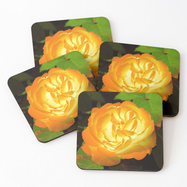 Item preview, Glowing golden rose blooming in the summer garden designed and sold by IraNiva.