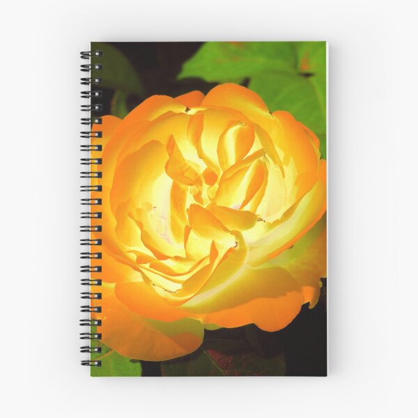 Item preview, Glowing golden rose blooming in the summer garden designed and sold by IraNiva.