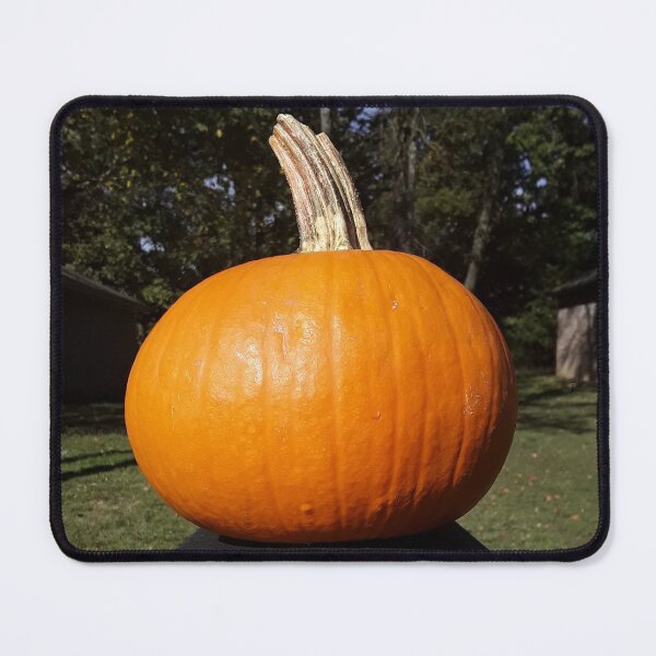 Item preview, Pumpkin on a Mailbox designed and sold by Dodie the Llama Designs.