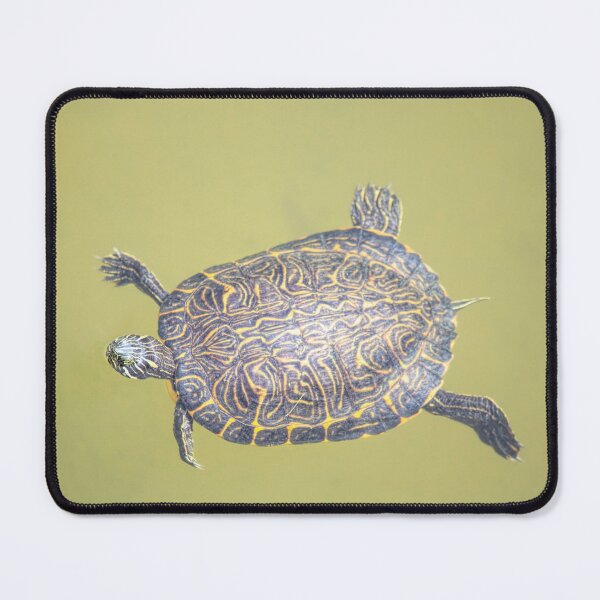Item preview, Swimming Painted Turtle designed and sold by Elisabeth Lucas.