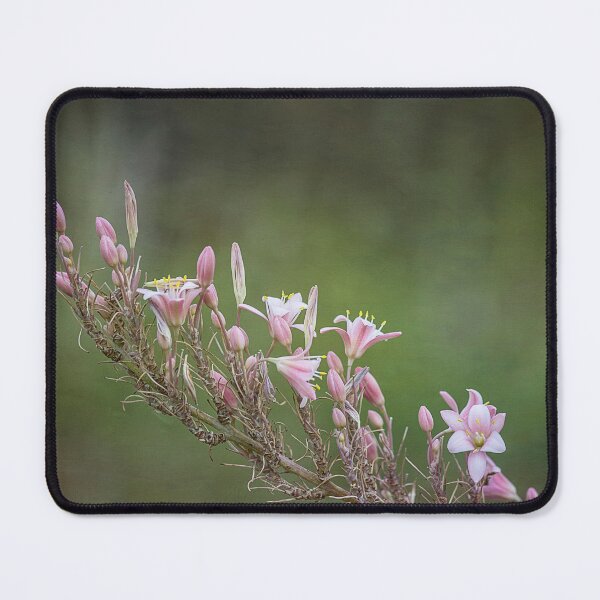Item preview, Pink Yucca 2 designed and sold by Elisabeth Lucas.