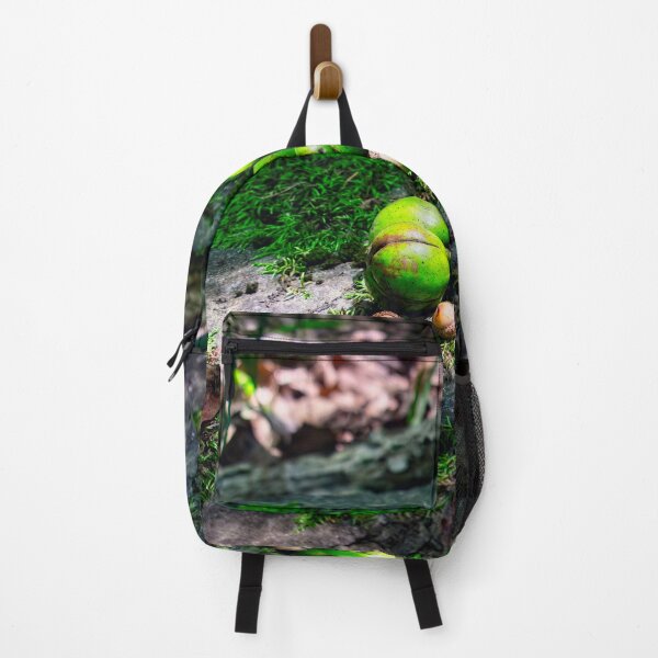 Item preview, Autumn Foraging Acorns and Hickory Nuts designed and sold by Thymely.