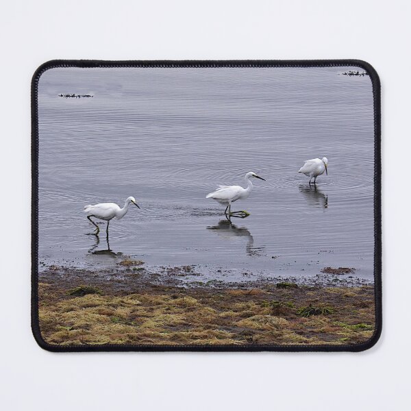 Item preview, Great Egret Juveniles designed and sold by Nancy Richard.