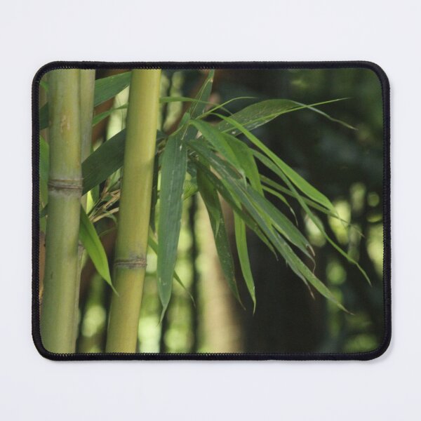 Item preview, Bamboo Thicket canes leaves designed and sold by Anna Lemos.