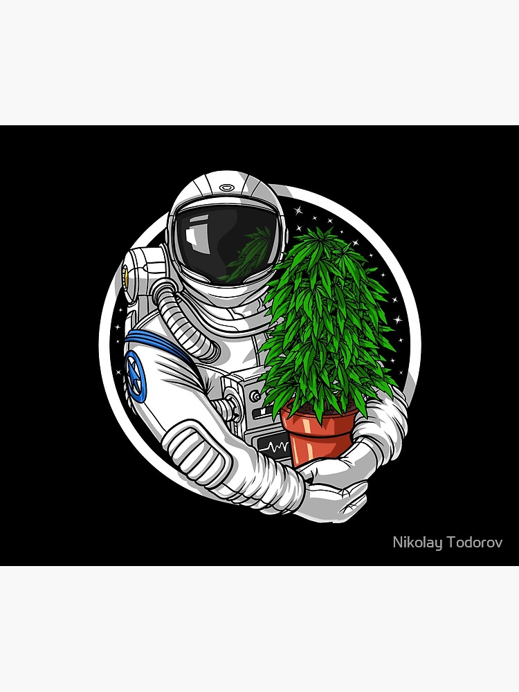 Astronaut Weed Lover Tapestry for Sale by Nikolay Todorov