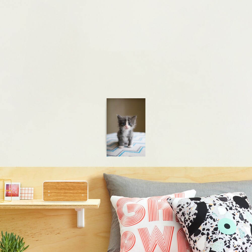 Item preview, Photographic Print designed and sold by leesiateh.