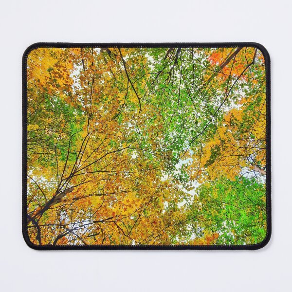 Item preview, Colourful Autumn Forest Trees designed and sold by SarahJisri.
