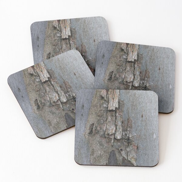 Item preview, Eucalyptus Tree Bark and Wood Texture 16 designed and sold by Anna Lemos.