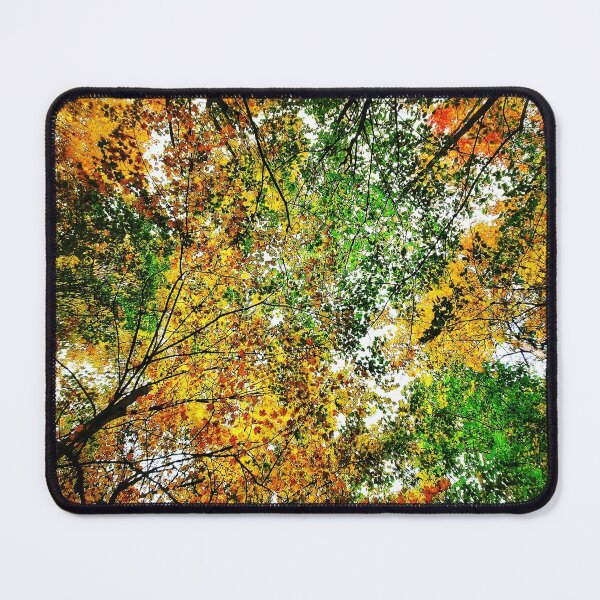 Item preview, Vibrant/Colourful Autumn Forest Trees designed and sold by SarahJisri.