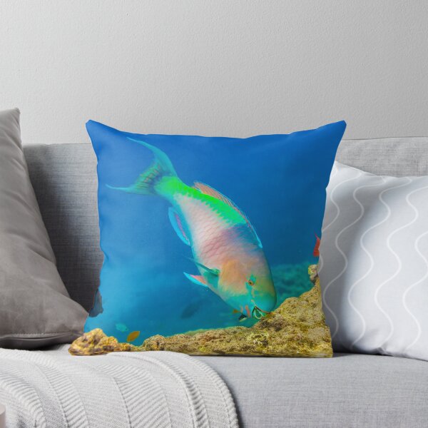Item preview, Parrot Fish designed and sold by colindavisphoto.