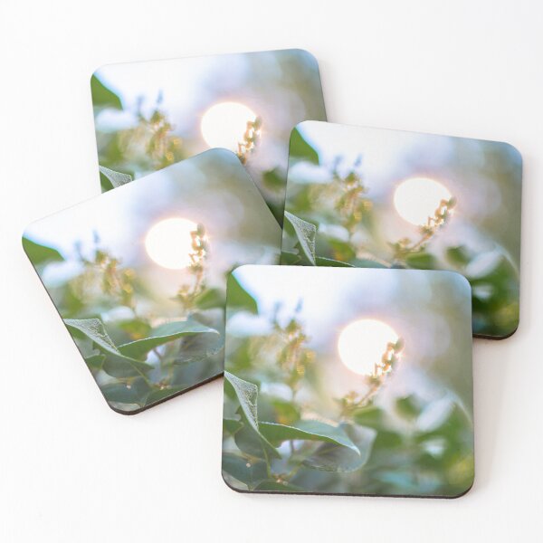 Item preview, Morning Sunshine peeking through Leaves designed and sold by SilentJane.