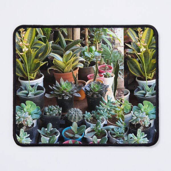 Item preview, Plant Nursery. House Plants Photography. designed and sold by TheGoToStore.