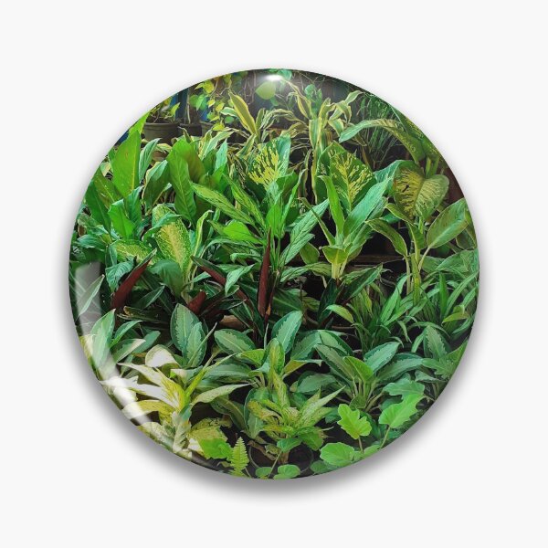 Item preview, Plant Nursery. House Plants Photography.  designed and sold by TheGoToStore.
