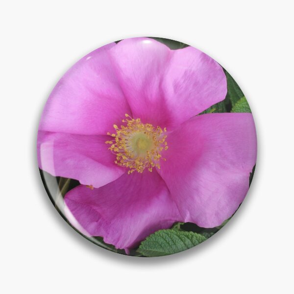 Item preview, Wild Rose designed and sold by Melissa Glabay.