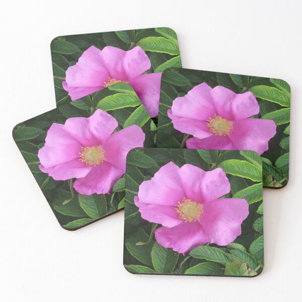 Item preview, Wild Rose designed and sold by Melissa Glabay.