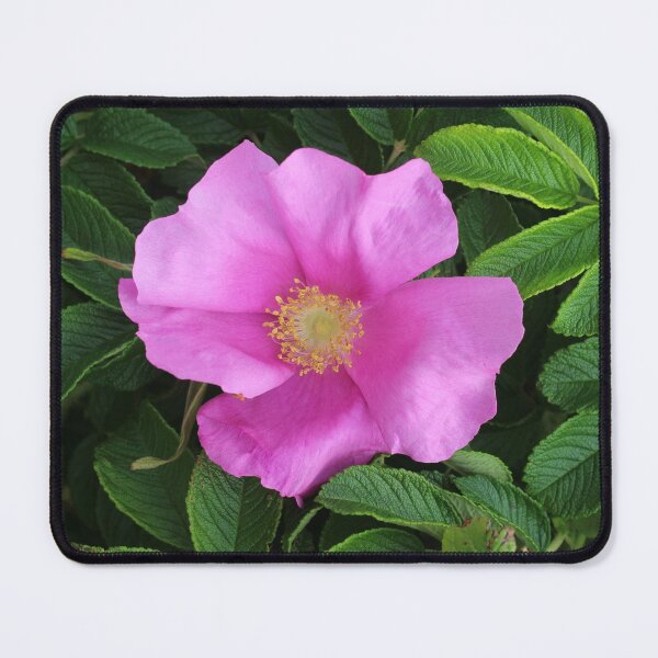 Item preview, Wild Rose designed and sold by Melissa Glabay.