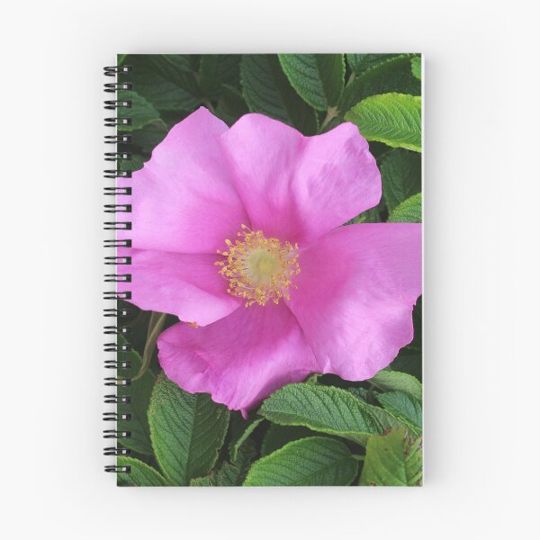 Item preview, Wild Rose designed and sold by Melissa Glabay.