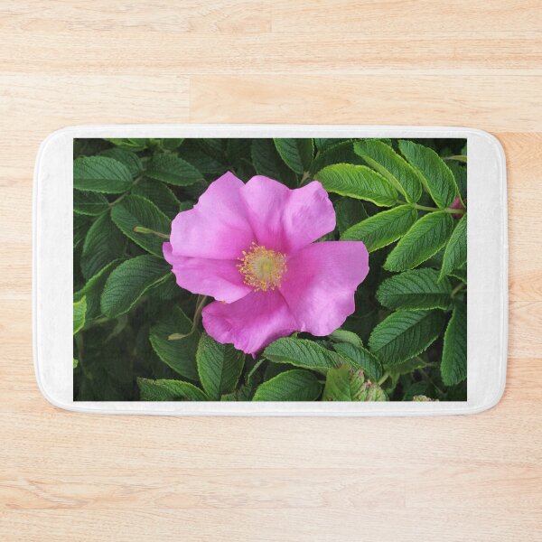 Item preview, Wild Rose designed and sold by Melissa Glabay.